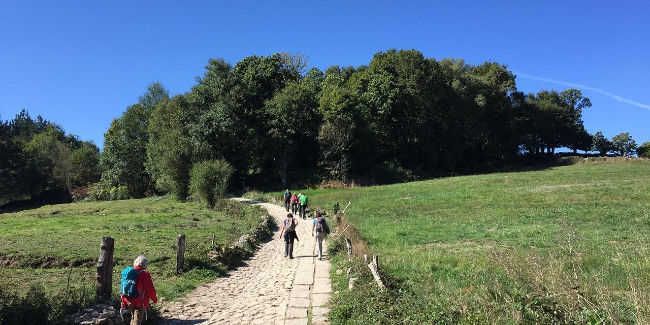 Männer auf dem Pilgerweg durch Wald und Feld