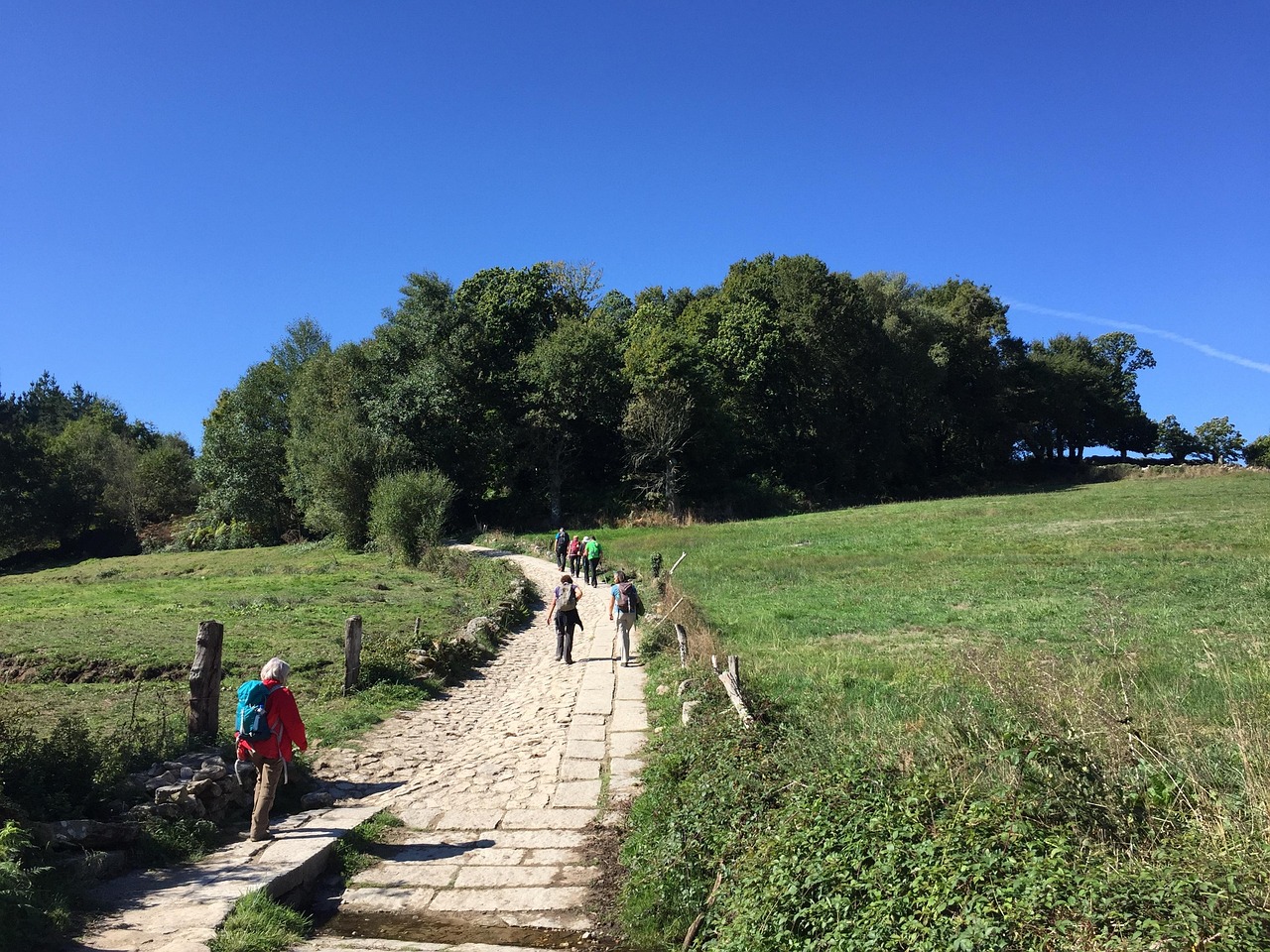 Männer auf dem Pilgerweg durch Wald und Feld